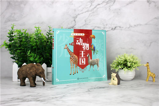 少儿读经典 动物王国  6-12岁青少年课外阅读书 哺乳动物鸟爬行动物两栖动物鱼无脊椎动物特征习性 了解动物知识动物王国科普书籍 商品图2