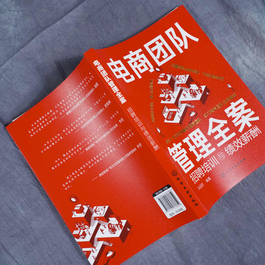 电商团队管理全案 招聘培训与绩效薪酬 张宜君 HR招聘薪酬绩效管理人事雇人灵活用工劳务派遣劳动关系 降低用人成本提升经营效益 商品图4