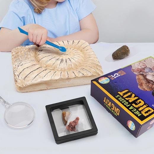 考古玩具挖掘套装！亲手挖恐龙化石、宝石、昆虫标本、鲨鱼牙齿、流星陨石！足不出户，体验真实考古！ 商品图2