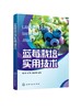 蓝莓栽培实用技术 杨芩 蓝莓栽培技术蓝莓有机质栽培 蓝莓绿色有机无公害培育蓝莓病虫害防治 果农技术人员农业院校师生阅读参考书 商品缩略图0