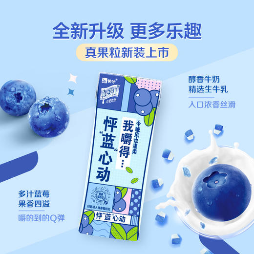 真果粒蓝莓果粒康美苗条装250g×12盒 商品图1