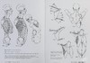 【中商原版】Morpho: Joint Forms and Muscular Functions 进口艺术 形态: 关节形式和肌肉功能 商品缩略图6