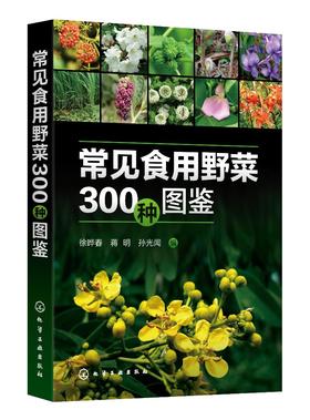 常见食用野菜300种图鉴 地上茎叶类地下根茎类食花类调味类食果类野菜名称科属分类识别特征鉴别技巧应用书 常见食用野菜一本通