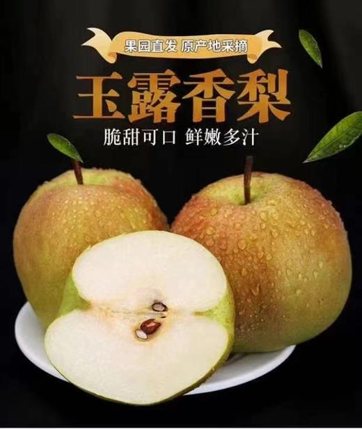 【时令鲜果 季节限定】山西隰县玉露香梨 鲜脆香甜 商品图1