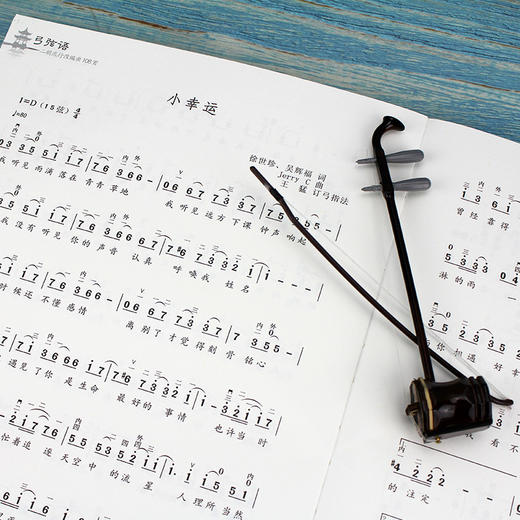 二胡自学一月通从入门到高手 3册 二胡零基础训练从入门到精通 手把手教你拉二胡 二胡基础知识演奏技巧 二胡教材基础自学入门书籍 商品图1