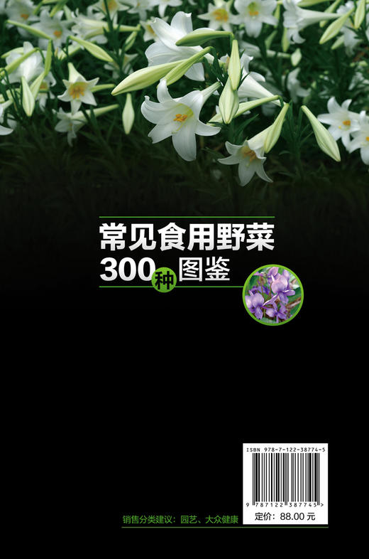 常见食用野菜300种图鉴 地上茎叶类地下根茎类食花类调味类食果类野菜名称科属分类识别特征鉴别技巧应用书 常见食用野菜一本通 商品图1