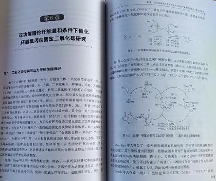 腈纶纤维基非均相催化剂合成方法 催化剂固载催化 腈纶纤维固载 非均相催化剂 催化剂合成 准液相微环境 化学化工材料专业应用书籍 商品图4