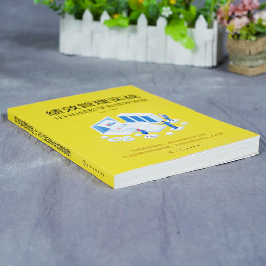 绩效管理实战 让HR轻松学会绩效管理 刘彤 HR绩效考核方案设计 薪酬实战手册 绩效考核薪酬管理薪酬体系企业管理人力资源 绩效管理 商品图3