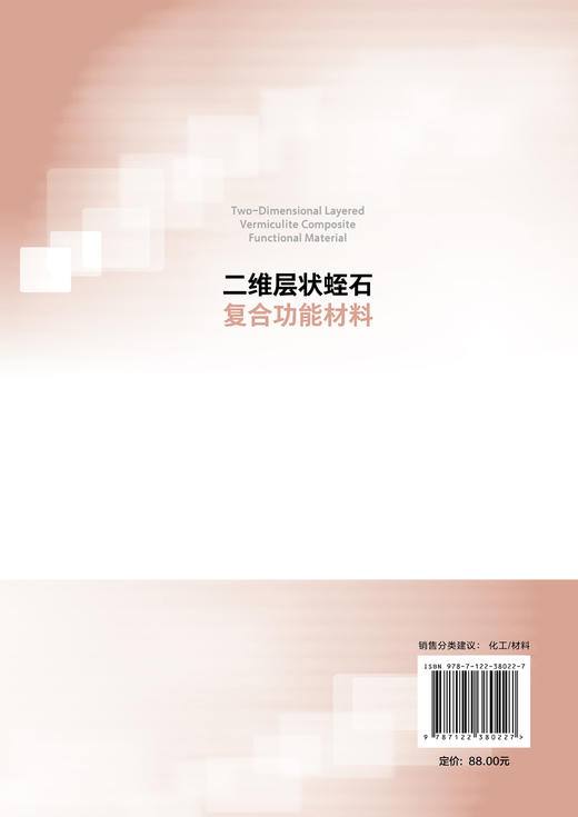 二维层状蛭石复合功能材料 纳米功能材料层状功能材料性质应用 复合功能材料层状功能材料概述 蛭石改性吸附催化方面技术应用书籍 商品图1