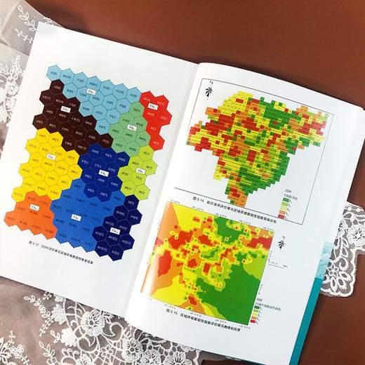 流域水污染环境风险综合评价与时空信息管理 刘宝玲 流域水污染环境风险评价方法水环境时空管理新型模式水污染事故风险源管理书籍 商品图4