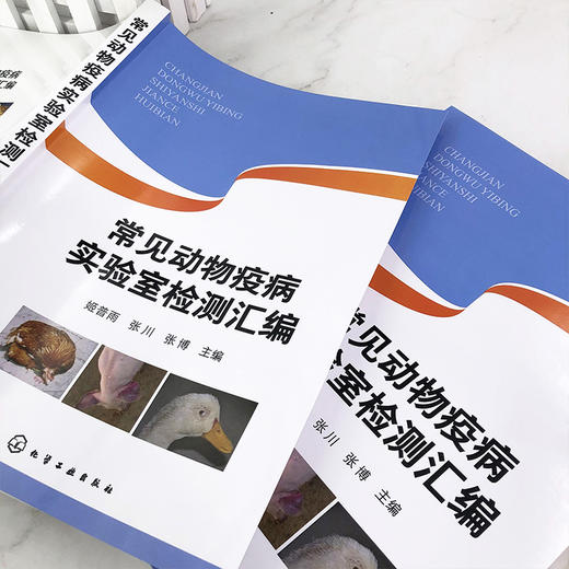 常见动物疫病实验室检测汇编 动物疫病实验室检测指导书?动物养殖中病毒病实验室检测方法 动物防疫实验室生物安全管理应用书籍 商品图3