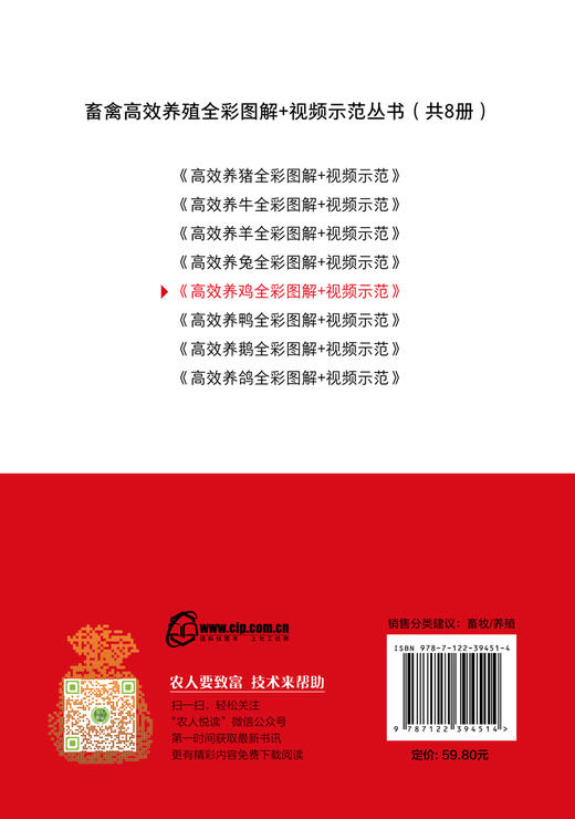 畜禽高效养殖全彩图解 视频示范丛书 高效养鸡全彩图解 视频示范 科学高效养鸡 养鸡技术 养鸡必备书籍 兽医 饲养管理人员应用书籍 商品图1