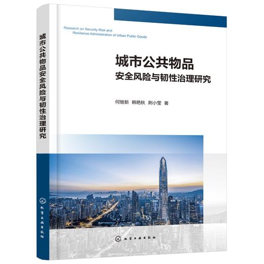 城市公共物品安全风险与韧性治理研究 城市公共物品安全风险与韧性治理难点 特色治理建设路径 城市公共物品韧性新功能行动指南 商品图0