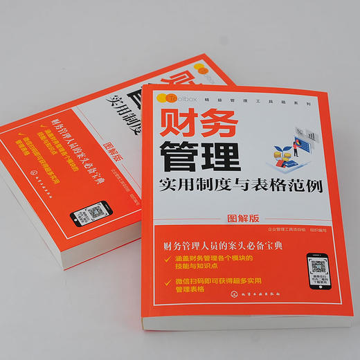 精益管理工具箱系列 财务管理实用制度与表格范例 图解版 财务管理书籍 财务管理体系建立财务管理业务要点财务部组织设计岗位说明 商品图2