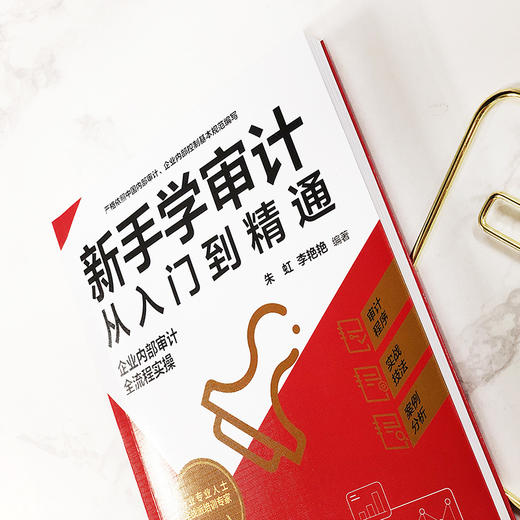 正版 新手学审计从入门到精通 企业内部审计全流程实操 审计新手流程实操指导审计实务入门书籍审计准则内审人员内部审计工作宝典? 商品图3