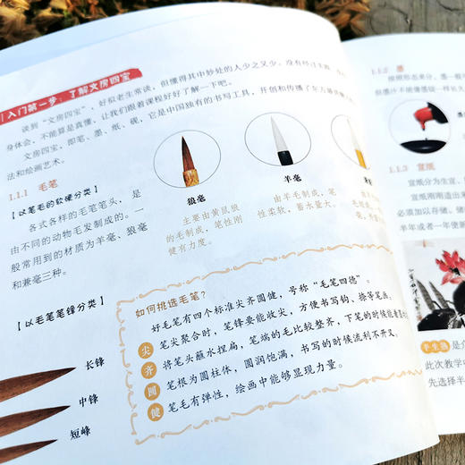 儿童绘画入门教程 国画 儿童零基础自学国画教材画谱 动物花鸟蔬果山水画法 少儿学水墨画基础技法教材书 中国国画传统绘画教程书 商品图3