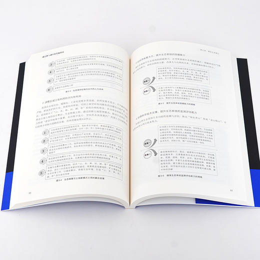 碳达峰与碳中和实施指南 碳达峰 碳中和 碳排放 理论基础 路径规划 案例实践 助力传统行业转型 地方经济发展 新兴领域投资类书籍 商品图3