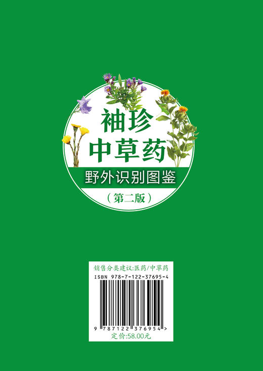 袖珍中草药野外识别图鉴 第二版 药用植物鉴别中国植物志 中华本草 中医药医师研究人员学生中草药爱好者参考工具书  中草药口袋书 商品图1