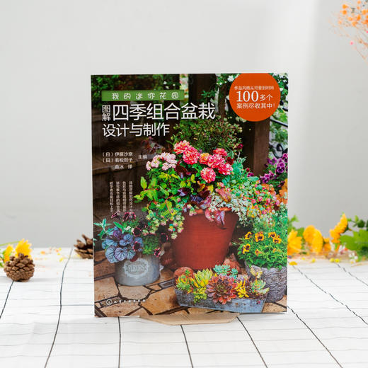 我的迷你花园 图解四季组合盆栽设计与制作 组合盆栽设计和制作方法书籍时令花材选择季节感色彩搭配技巧组合盆栽配色要领容器选择 商品图2