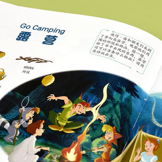 迪士尼儿童英语单词大书 3-6-8岁幼儿英语启蒙绘本 儿童日常生活英语磁力贴 英语单词认知绘本 幼儿英语启蒙教材 小学生英语入门书 商品图4