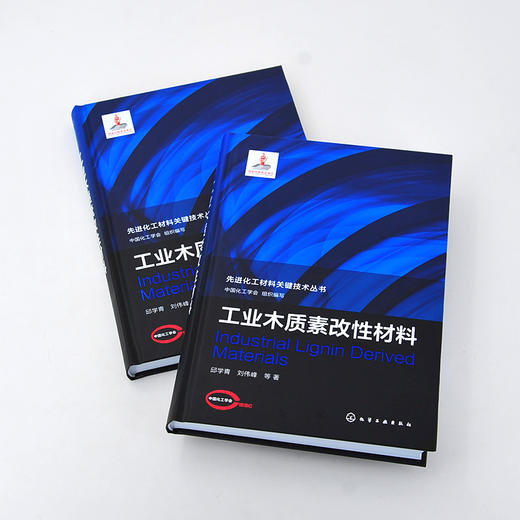 先进化工材料关键技术丛书 工业木质素改性材料 木质素 功能材料 改性材料 化学改性 生物质利用 材料科学与工程专业人员应用书籍 商品图2