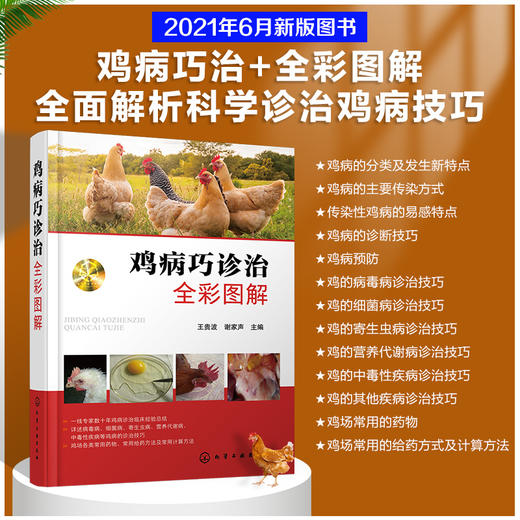 鸡病巧诊治全彩图解 鸡病防治书籍病毒病细菌病寄生虫病营养代谢病中毒性疾病鸡病诊治技巧常用药物给药及计算方法养鸡场兽医书籍 商品图5