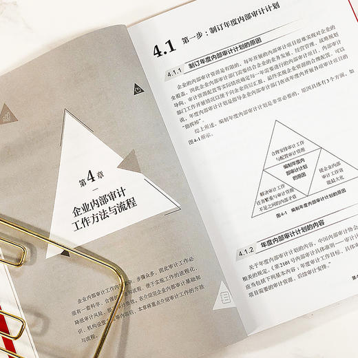 正版 新手学审计从入门到精通 企业内部审计全流程实操 审计新手流程实操指导审计实务入门书籍审计准则内审人员内部审计工作宝典? 商品图4