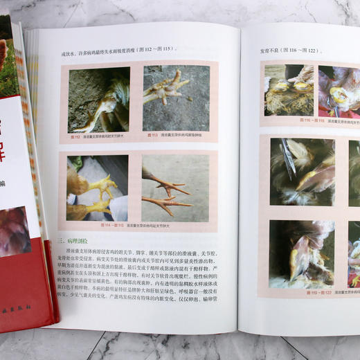 鸡病巧诊治全彩图解 鸡病防治书籍病毒病细菌病寄生虫病营养代谢病中毒性疾病鸡病诊治技巧常用药物给药及计算方法养鸡场兽医书籍 商品图4