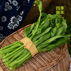 广心菜（400g）