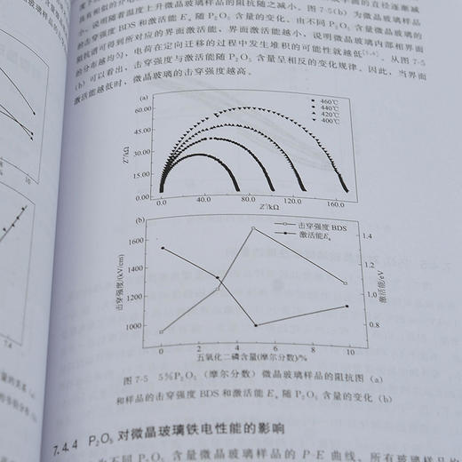 新型电容器介电陶瓷储能材料  新能源材料与器件 材料科学与工程 材料科学与工程 新能源材料与器件 无机非金属材料工程应用书籍 商品图4