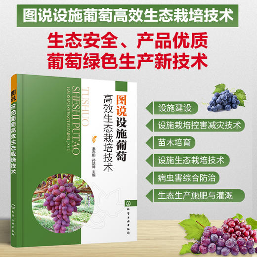 图说设施葡萄高效生态栽培技术 葡萄高效栽培技术 葡萄栽培设施建设 葡萄生物学特性 葡萄苗木培育设施葡萄生态栽培技术应用书籍 商品图5