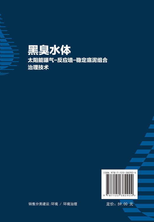 正版 黑臭水体太阳能曝气 反应墙 稳定底泥组合治理技术 黑臭水体成因及危害治理技术发展概况黑臭水体底泥稳定剂研究现状应用书籍 商品图1