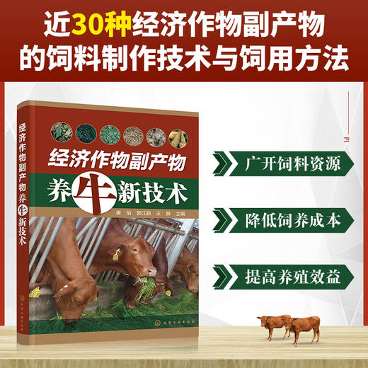 经济作物副产物养牛新技术 秸秆养牛技术书籍 经济作物副产物饲料制作技术饲用方法 经济作物副产物资源及饲料化利用技术应用书籍 商品图5