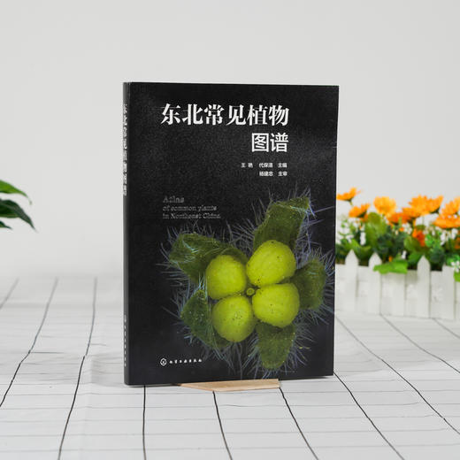 东北常见植物图谱 常见植物便携式百科全书 野外识别常见植物鉴别图册鉴定常见植物工具书植物奥秘植物志科种属种检索表速查一本通 商品图2