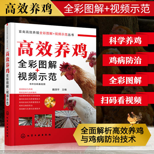畜禽高效养殖全彩图解 视频示范丛书 高效养鸡全彩图解 视频示范 科学高效养鸡 养鸡技术 养鸡必备书籍 兽医 饲养管理人员应用书籍 商品图5