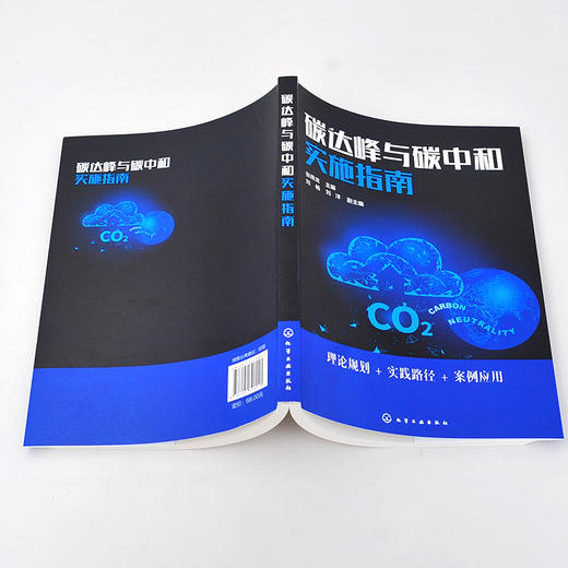 碳达峰与碳中和实施指南 碳达峰 碳中和 碳排放 理论基础 路径规划 案例实践 助力传统行业转型 地方经济发展 新兴领域投资类书籍 商品图5