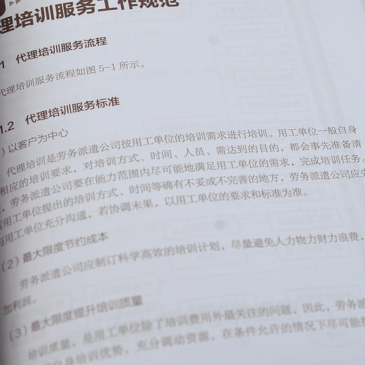 劳务派遣服务与规范化管理系列 劳务派遣服务标准与业务规范 劳务派遣运营服务标准工作服务规范 劳务派遣业务公司组织设计应用书 商品图4