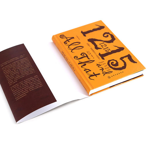 一小时英格兰史系列 1215 约翰王 贵族战争与 大宪章 金雀花王朝中初期晚期动荡史 新视角全球简史系列 英国历史 中世纪文学历史书 商品图3