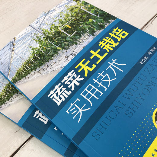 蔬菜无土栽培实用技术 无土栽培概念类型特点发展历史应用范围 无土栽培基地规划与环境调控技术 蔬菜作物无土栽培理论知识应用书 商品图2