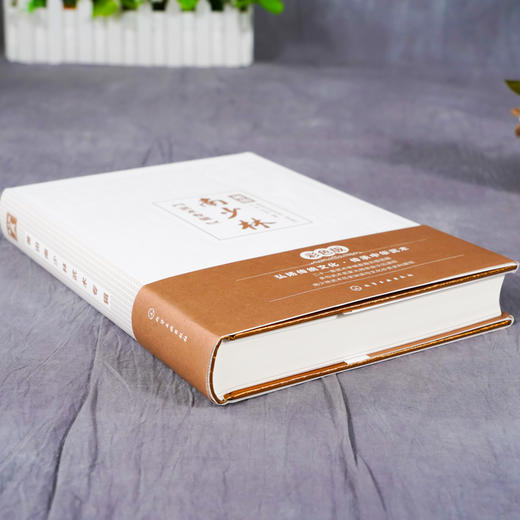 莆田南少林武术专辑 南少林武术彩色图解 莆田南少林武术历史文化发展史 三十六宝传统拳 三战拳 半撩拳全撩拳 少林寺武术典籍大全 商品图3