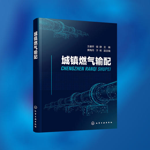 城镇燃气输配 王睿怀 城镇燃气分类 城镇燃气供需压缩天然气供应 液化石油气供应燃气安全运输处理存放 高等职业城市燃气工程教材 商品图5