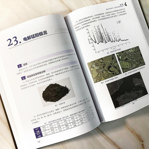 固体废物鉴别典型案例2013-2020 周炳炎 固体废物处理处置技术 固体废物鉴别书籍 冶金残渣类化工类产品类固体废物治理应用书籍 商品图4