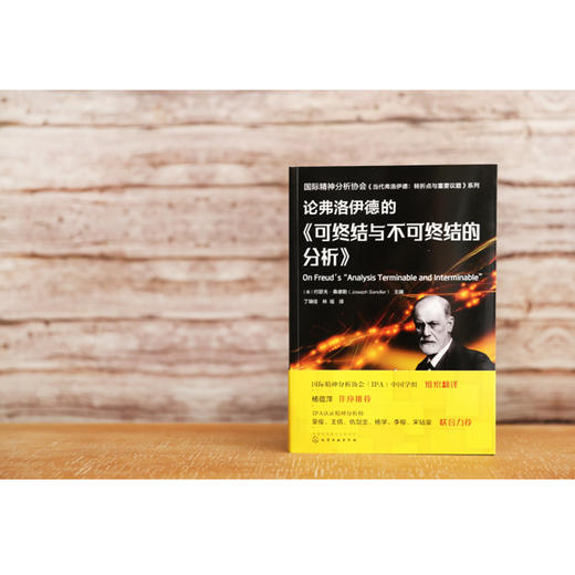 国际精神分析协会《当代弗洛伊德：转折点与重要议题》系列--论弗洛伊德的《可终结与不可终结的分析》 商品图2