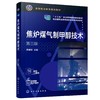 焦炉煤气制甲醇技术 李建锁 第三版 甲醇原料气制备 原料气精脱硫 甲烷转化 甲醇合成 粗甲醇精制 配备现场生产教学视频 微课视频 商品缩略图0