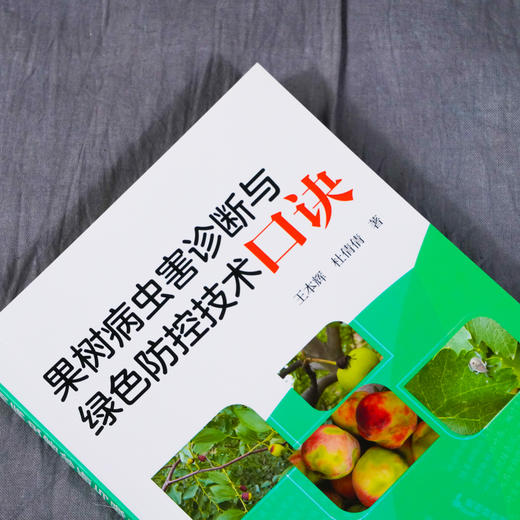 正版 果树病虫害诊断与绿色防控技术口诀 蔬菜病虫害防治技术经验防控药用技术 果树病害症状诊治防控 基层农技推广人员参考书籍 商品图2