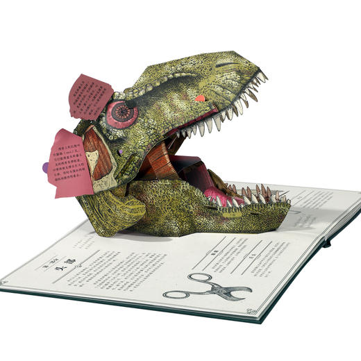 恐龙立体书：解剖探索霸王龙的奥秘 礼盒装（立体书+手账本+纪念币+立体贺卡） 商品图4