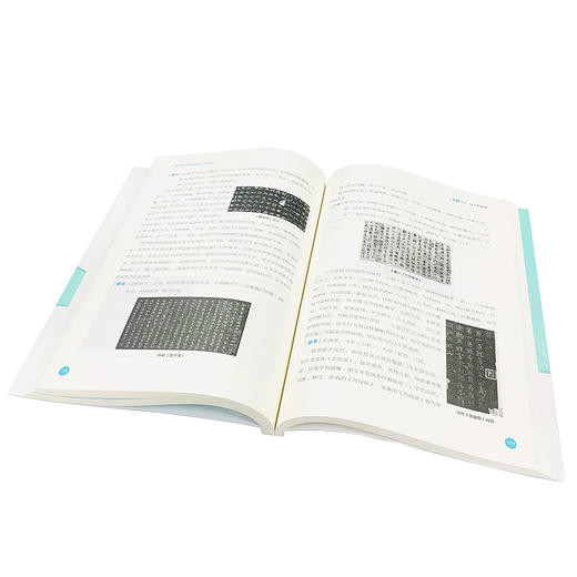 名校名师高分策略 高中语文基础知识一本就够 刘准 中学语文基础知识 语文常识解说 语文阅读写作方法与技巧 高中语文辅导资料书籍 商品图4