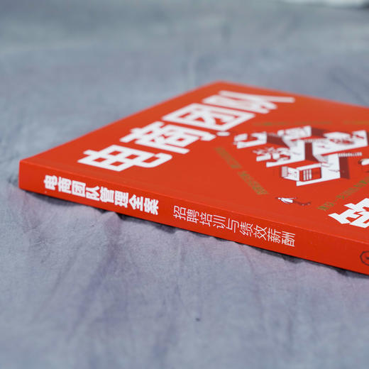 电商团队管理全案 招聘培训与绩效薪酬 张宜君 HR招聘薪酬绩效管理人事雇人灵活用工劳务派遣劳动关系 降低用人成本提升经营效益 商品图3