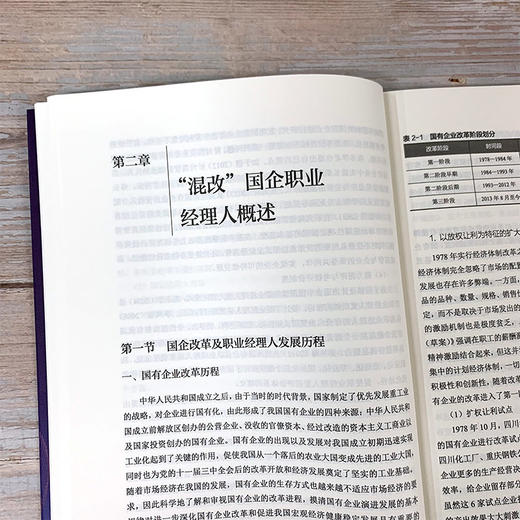 破局之路 混改国企职业经理人生成模式与路径 从理论到实践 从政策到制度 研究国企混改职业经理人的生成 探索国企混改的参考书籍 商品图3