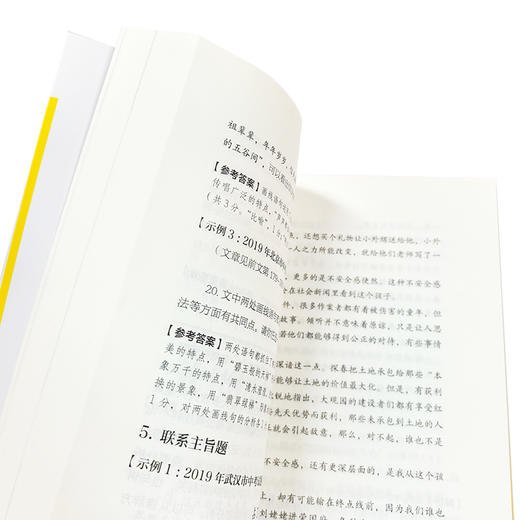 初中语文阅读高分策略 人大附中 北京八中名师编写 八大类阅读文本考点梳理与提分指导 120道真题详解与精练 初中阶段作文必备书籍 商品图3